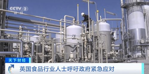天然气价格暴涨冲击英伦 化肥厂停产引发食品与畜牧饲料链危机